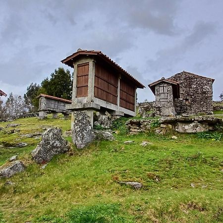 فيلا Casa Da Rosa Porreiras باريديس دي كورا المظهر الخارجي الصورة
